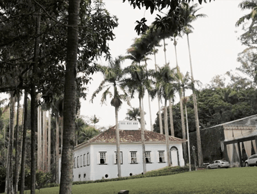 Campo de Patricia + Murilo ✨💍