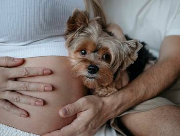 Gestante de Ensaio: Doce Espera do Bernardo