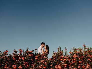 ENSAIOS de Pré Wedding Isabella e Yuri - Holambra