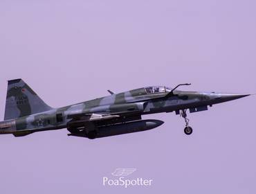 Aviação militar de EXPOAER 2019 - Ala 3