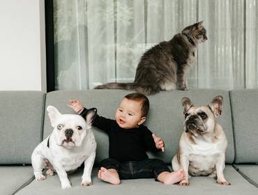 Lifestyle de 2a Sessão de Acompanhamento Quadrimestral do Antonio