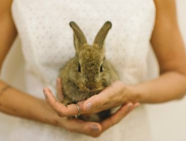 Páscoa de Páscoa 2019