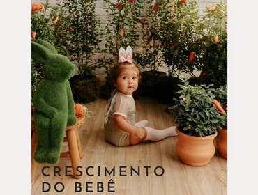 Orçamentos de Crescimento do Bebê