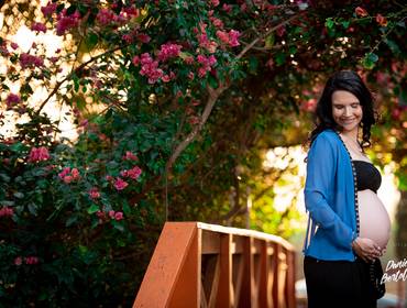 Gestante de ENSAIO GESTANTE - ANAISA