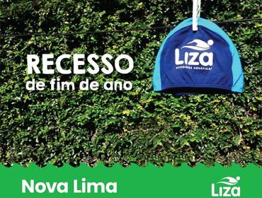 Anúncios de Recesso de Fim de Ano - Liza