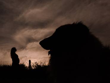 Gestantes de A espera da Lina ♥