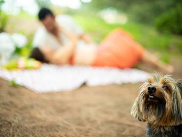 Ensaio fotográfico externo de ENSAIO EXTERNO | PREGNANT NEWS