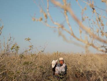 ENSAIOS de ITATIM BAHIA - ENSAIO PRÉ CASAMENTO BEATRIZ  E GUSTAVO