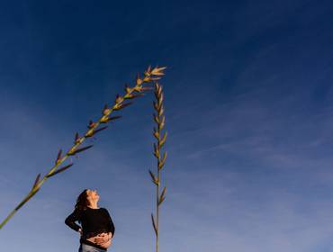 ENSAIOS  de A ESPERA DO GUILHERME