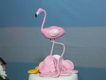 Aniversários de Giovanna 8 anos - 08.07.2019