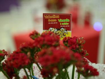 Aniversários de Valentina e Vicente - 06.09.2019