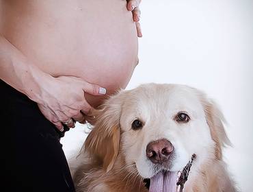 Gestante de Ensaio Gestante com Pets