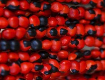 Jóias indígenas de 