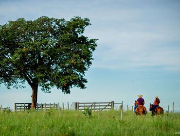 Pré Wedding de Maria Fernanda e Charles