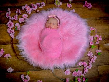 Newborn de Ana Calline 10 dias