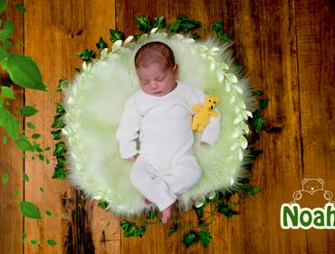 Newborn de Noah newborn 12 dias