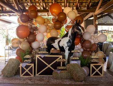 Lyfestyle de Aquele dos 90 anos do Zé