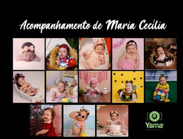 Smash the Cake de Smash the cake de Maria Cecília