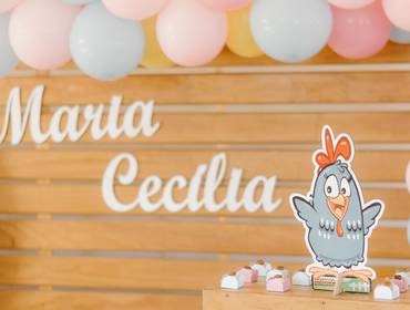 Festinha Infantil de Aniversário 02 Aninhos - Maria Cecília