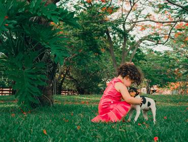 Ensaio Infantil de Ensaio da Catarina 