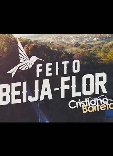 Videoclipe de Feito um Beija-Flor | Direção de Videoclipe