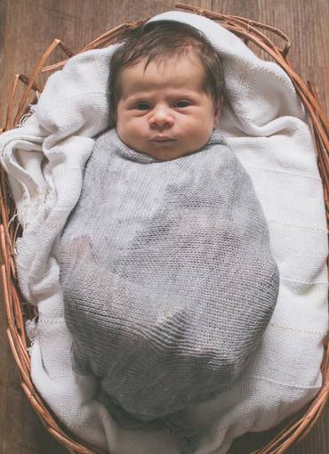 Familias de New born Alice