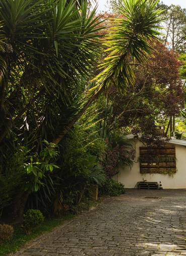 Casamento  de Monica e João 