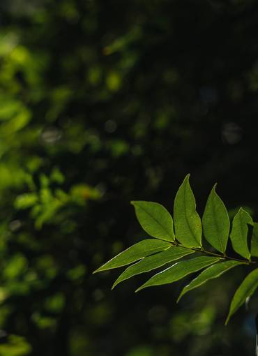 Bodas de Gilmara e Euli