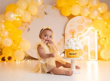 Smash The Cake de Melissa / 1 Aninho