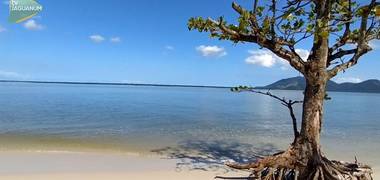 Meio Ambiente de Restinga da Marambaia