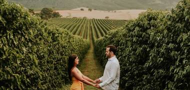 Ensaio de Ensaio Fazenda Boa Esperança