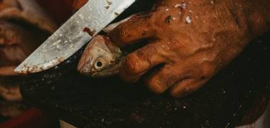 Ensaio de PESCA RITUAL