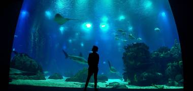 Diversos de Portugal