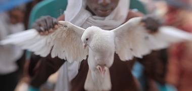 Visual Storytelling of SUDAN