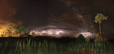 Landscape of THE EVERGLADES