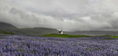 Landscape & Widlife of ICELAND - HIGHLANDS SUMMER 2026