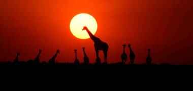 Landscape & Widlife of The Magical Spirits of the Maasai Mara