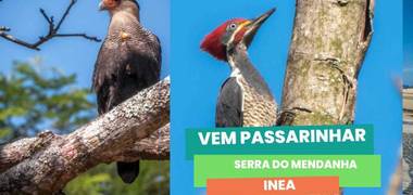 Meio Ambiente de Vem Passarinhar 2022