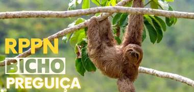 Meio Ambiente de RPPN Bicho Preguiça