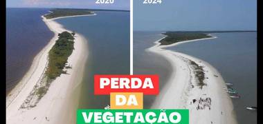 Meio Ambiente de Perda da Vegetal na Pombeba em Mangaratiba