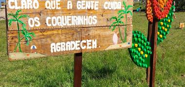 Meio Ambiente de Replantando Vidas