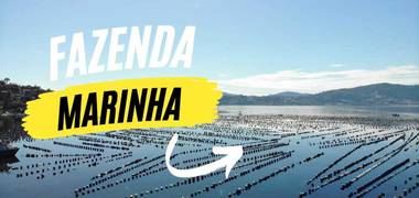 Empreendimentos de Fazenda Marinha - Aumentar a Produção de Alimentos