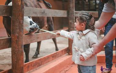 3 festas de aniversário infantil diferentes