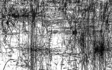 Como a fotografia pode dialogar com a arte?