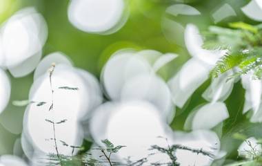 A beleza nos detalhes