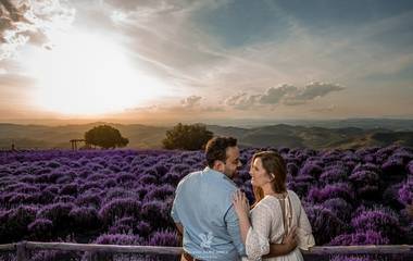 O Lavandário -
Beleza e encanto em cada clique