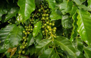 O Agro Está Registrando Sua Própria História?