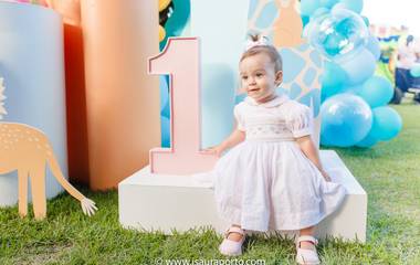 Festa Infantil. Animais coloridos. Recife-PE