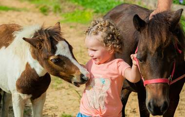 Envolvendo as Crianças nas Sessões Fotográficas: Dicas para Momentos Divertidos e Espontâneos