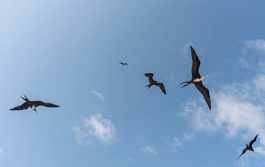 O tempo certo para agendar as suas fotos